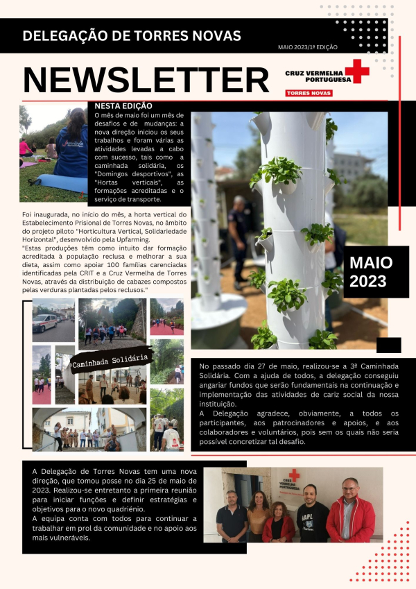 Newsletter - 1ª edição