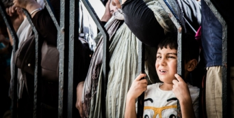 acolhimento refugiados